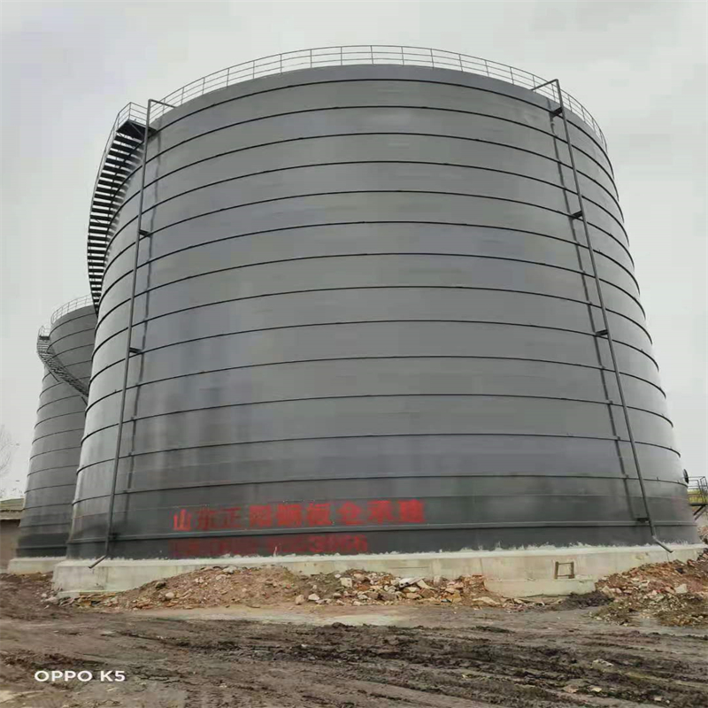 泰来3万吨大型钢板库