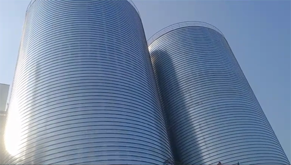 泰来2座混凝土高架卷板仓